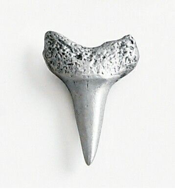 silver colored shark tooth lapel pin